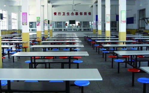 增城公辦中小學(xué)食堂中餐服務(wù)現(xiàn)狀與展望